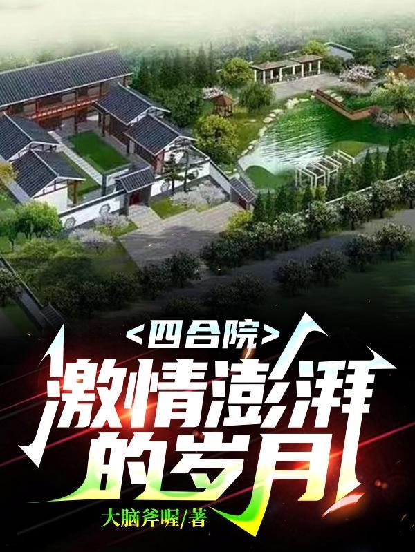 电视剧激情四合院