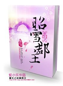重生之昭昭在线阅读