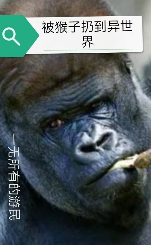 小猴子被强行抛弃