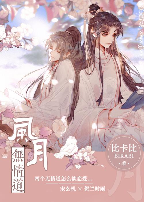 风月无情道讲的什么