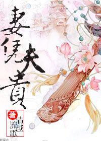 妻凭夫贵类似推荐