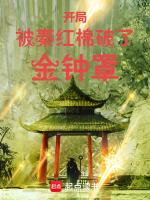 开局被秦红棉破金钟罩第几集出场