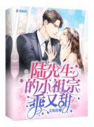陆先生的小祖宗乖又甜的
