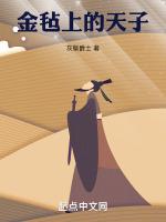 汉人可汗姨弟张将军