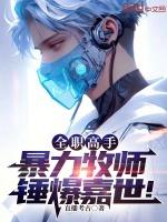 全职高手之暴力牧师