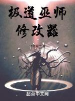 巫师3内置修改器