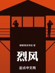 烈风天翼陀螺