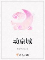 动京城是什么意思