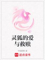 灵狐的老公是谁