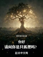你好狐狸小姐他是一只鸟吗用英语怎么读