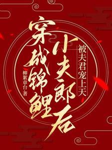 穿成猎户的替嫁小夫郎 百度