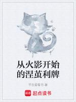 从火影开始的涅茧利牌篱笆好文学