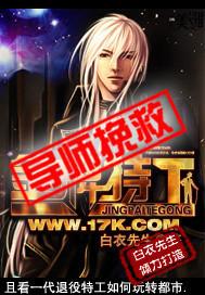 金牌特工是什么意思啊