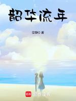 韶华流年怎么读