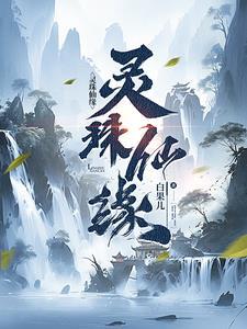 什么是灵珠转世