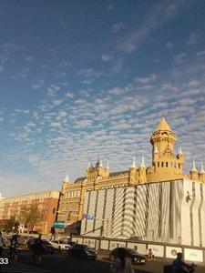 生存空间什么意思