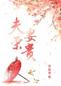 夫荣妻贵完整版