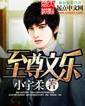 至尊文化传媒