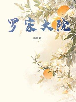 罗家大院简介和历史背景详解