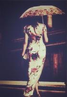 穿越第三帝国的元帅