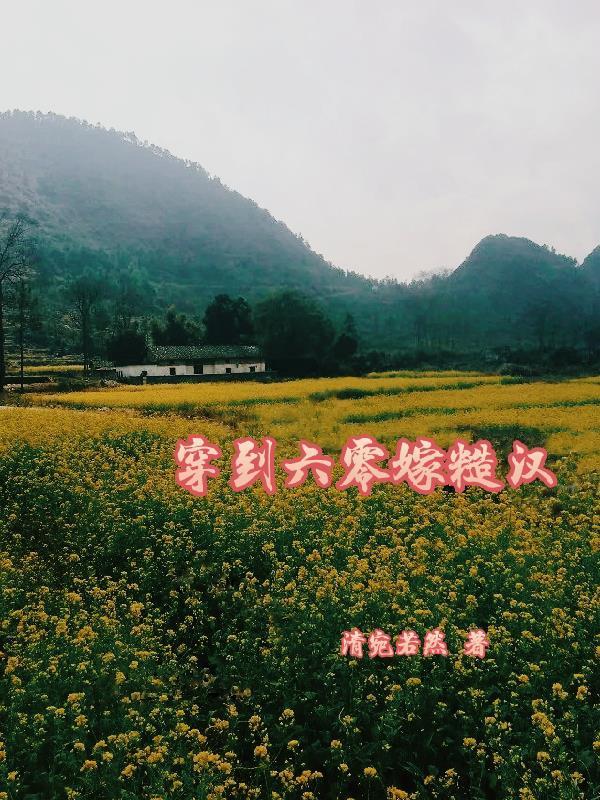 重生六零嫁糙汉子