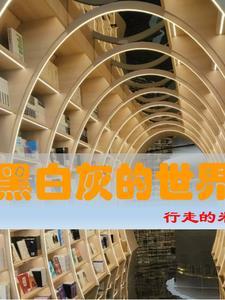 黑白灰的世界里让什么什么