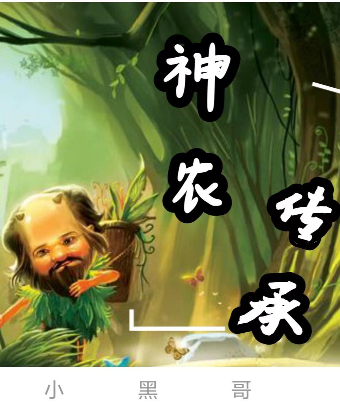 神农传承TXT全本