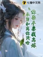 我要娶平妻