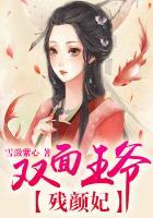 王爷的双面王妃