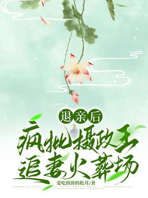 退亲后疯批摄政王追妻火葬场