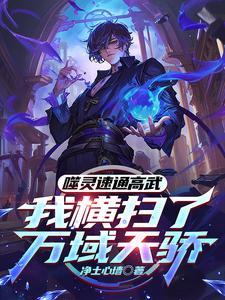 我觉醒系统杀穿高武笔趣阁