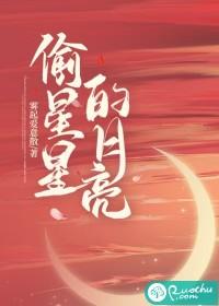 偷星星的月亮歌曲邓阿九