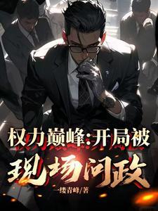 从副县长到封疆大吏2