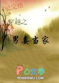 穿越之男妻当家讲的什么