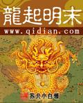 龙起明末有声在线收听
