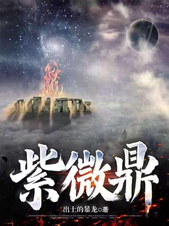 紫微鼎最新更新章节