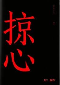 掠心by盈春