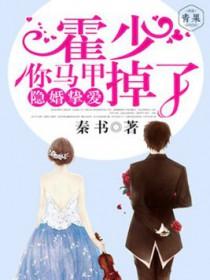 隐婚盛宠霍少