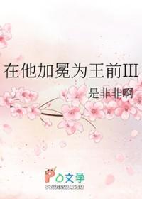 在他加冕为王前3免费阅读