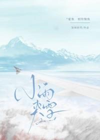 小雨夹雪全本免费阅读