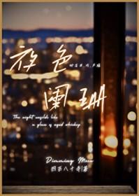 夜色亦阑珊txt