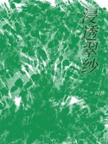 浸透翠纱讲什么