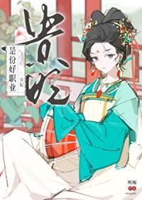 贵妃是什么