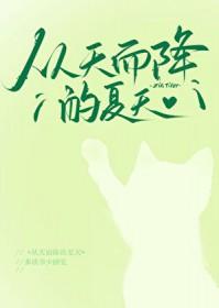 从天而降的夏天晋江