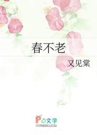 春不老又叫什么菜