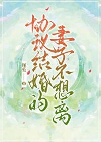 协议结婚之后我离不了