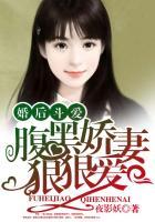 腹黑娇妻狠狠爱