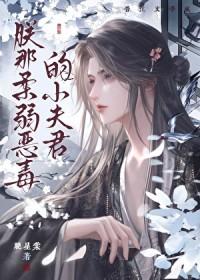 朕的恶毒小妖妻动画