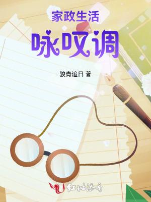 家政实录