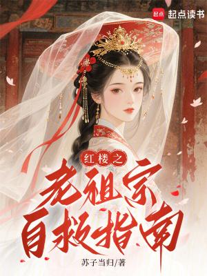 红楼之老祖宗别样生活